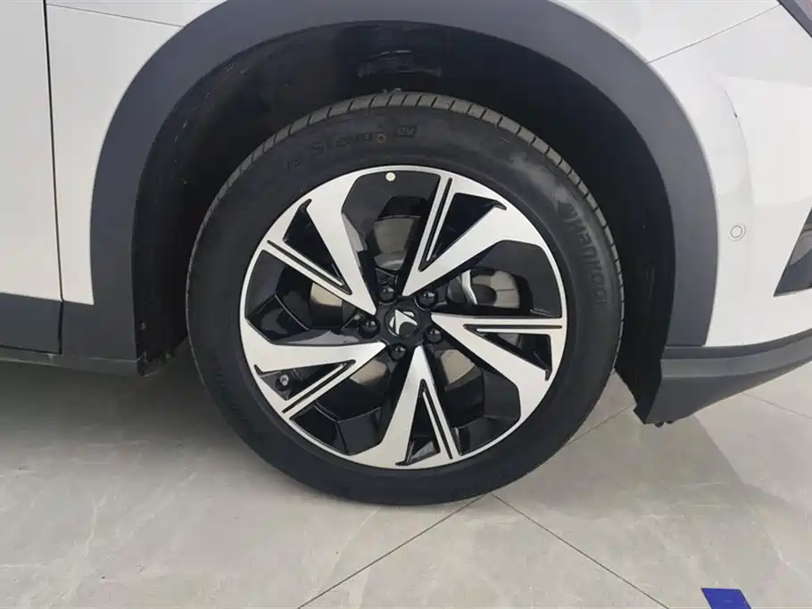 ARCFOX EXTREME FOX POLAR FOX ALPHA T5