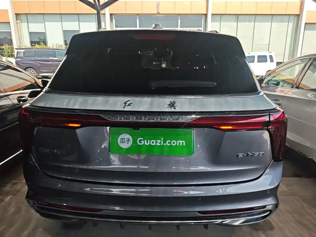 Hongqi Hongqi E-HS9 — миниатюра 6
