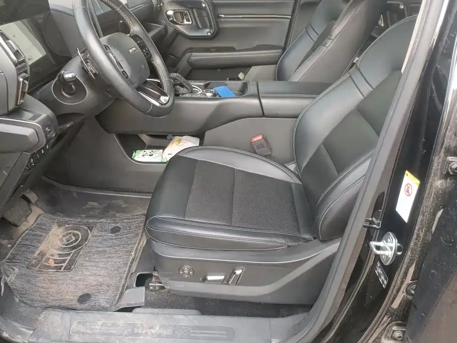 Haval Big Dog PLUS — миниатюра 9