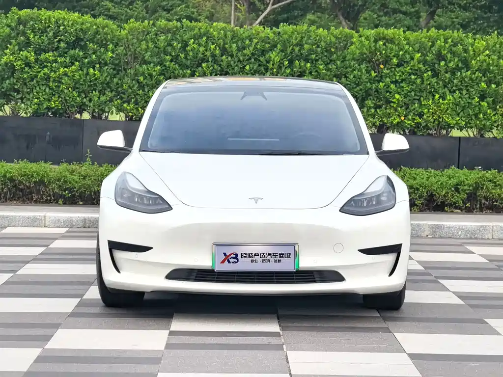 Tesla Model 3 2021 3D6