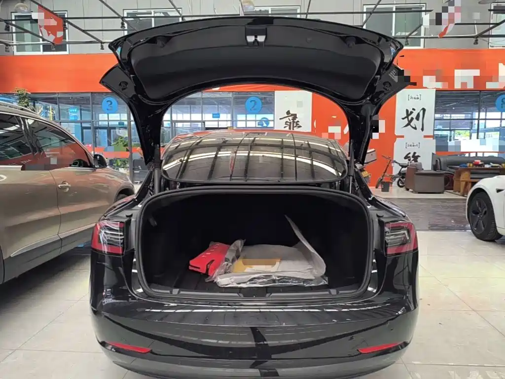 Tesla Model 3 — миниатюра 19
