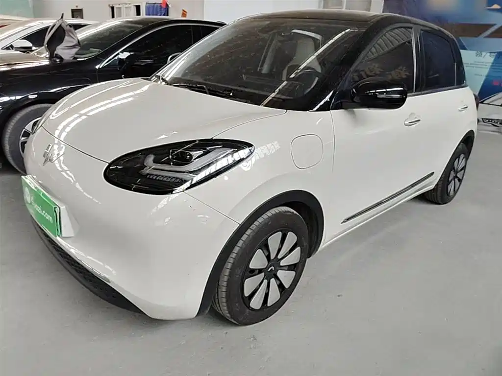 Wuling Bingo 2024