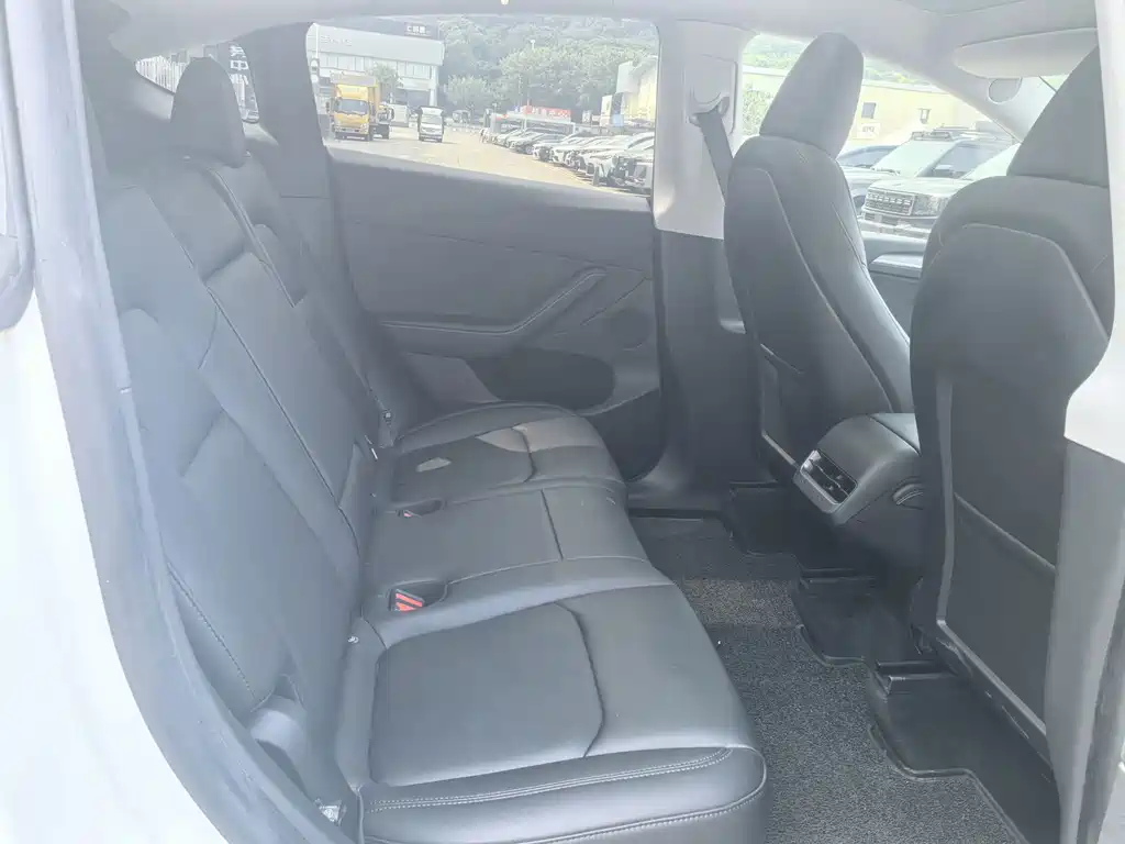 Tesla Model Y — миниатюра 12