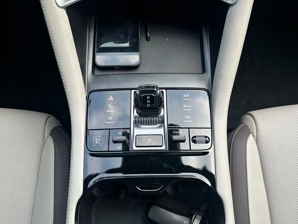 BYD PLUS New Energy — миниатюра 12