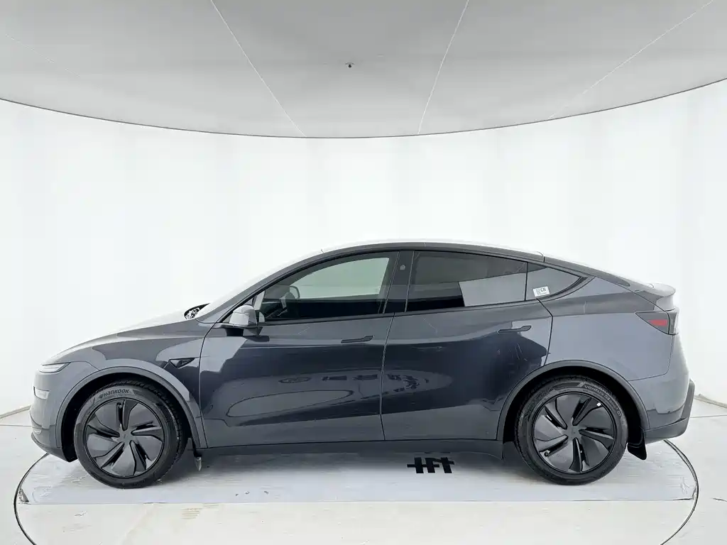 Tesla Model Y — миниатюра 2