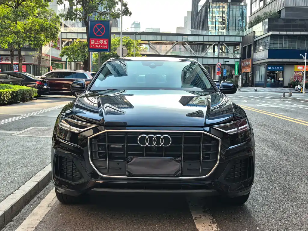 Audi Q8 2021 45 TFSI Luxury