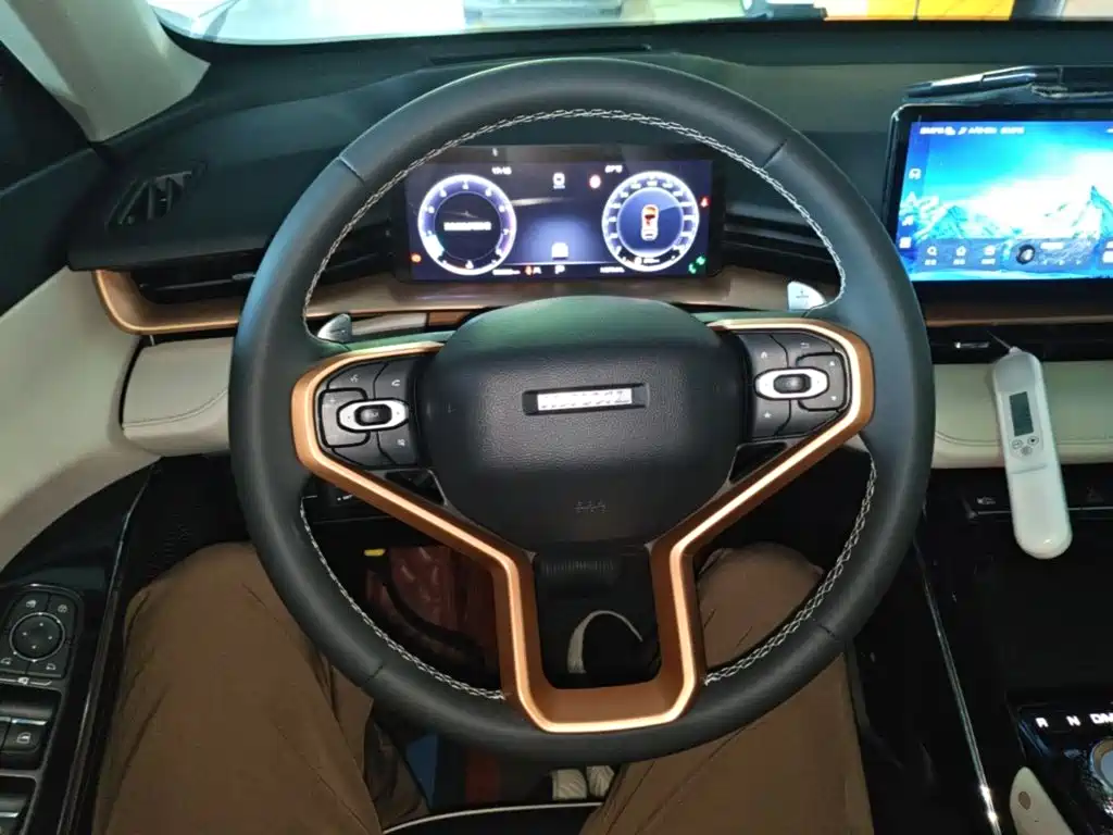 Haval H6 — миниатюра 11