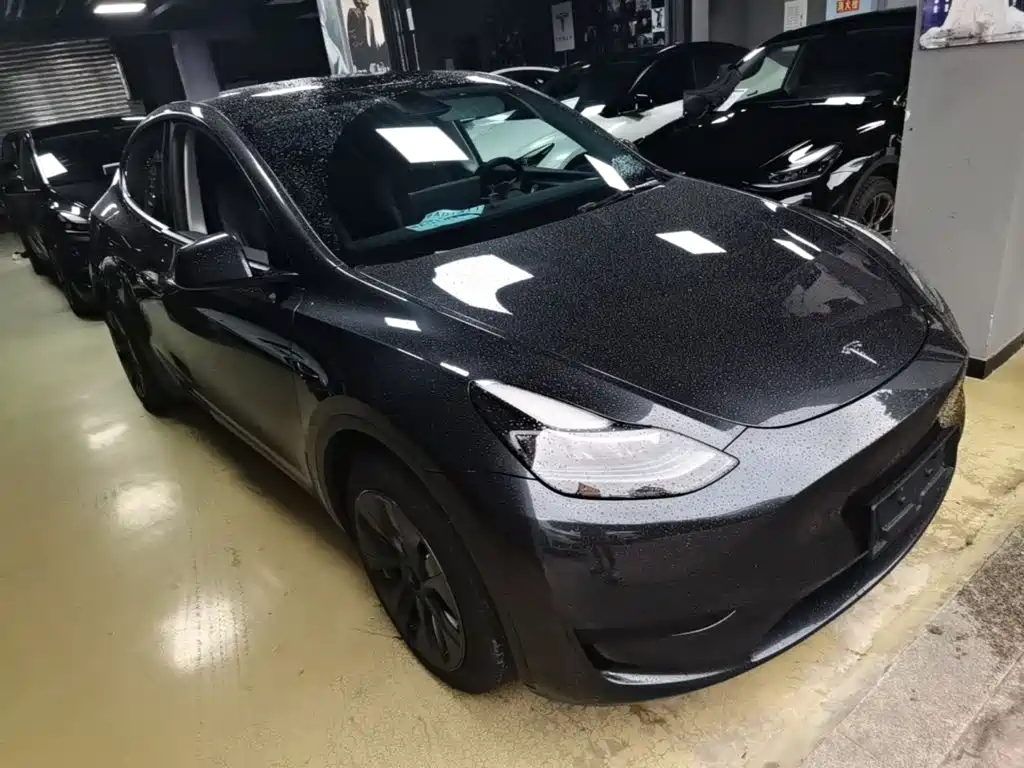 Tesla Model Y — миниатюра 4