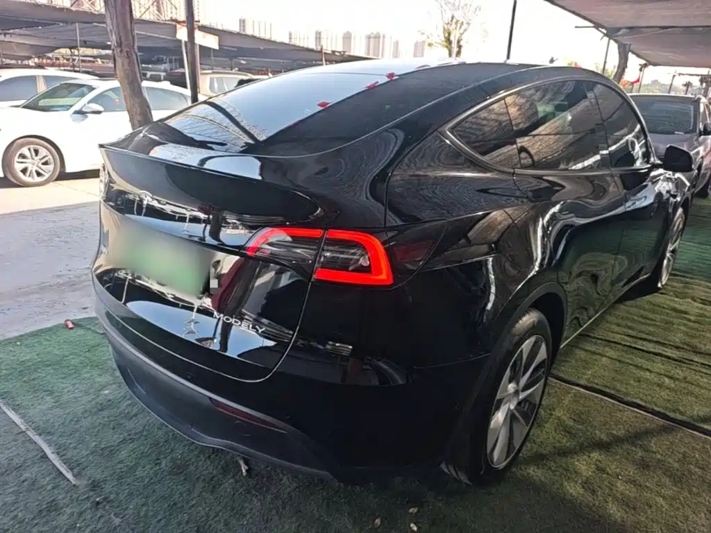 Tesla Model Y — миниатюра 7
