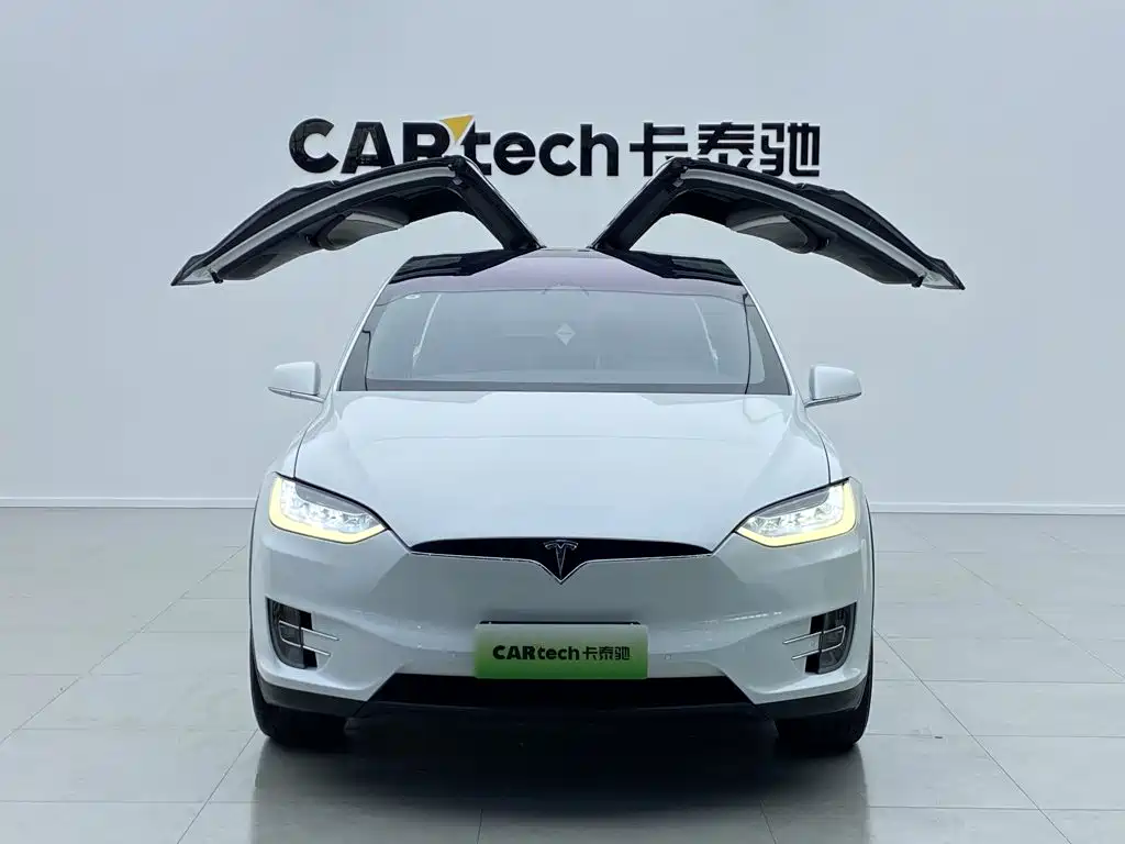 Tesla Model X — миниатюра 11