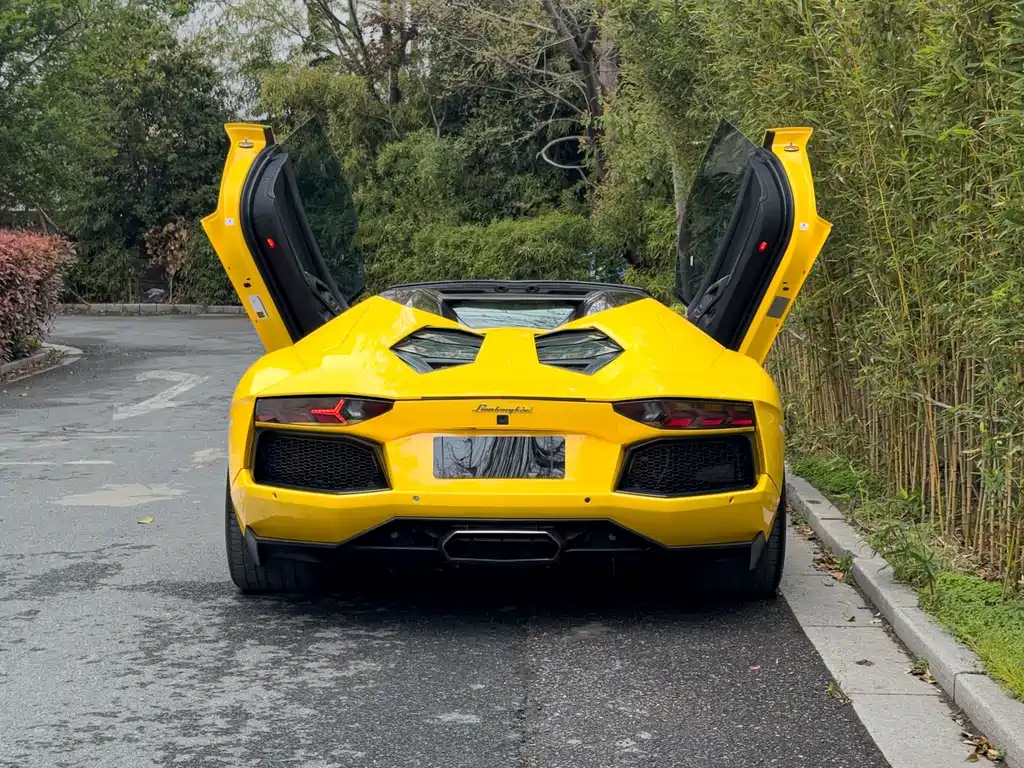 Lamborghini Aventador 2013 LP 700-4 Roadster