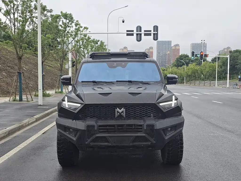 Mengshi Mengshi 917 — миниатюра 2