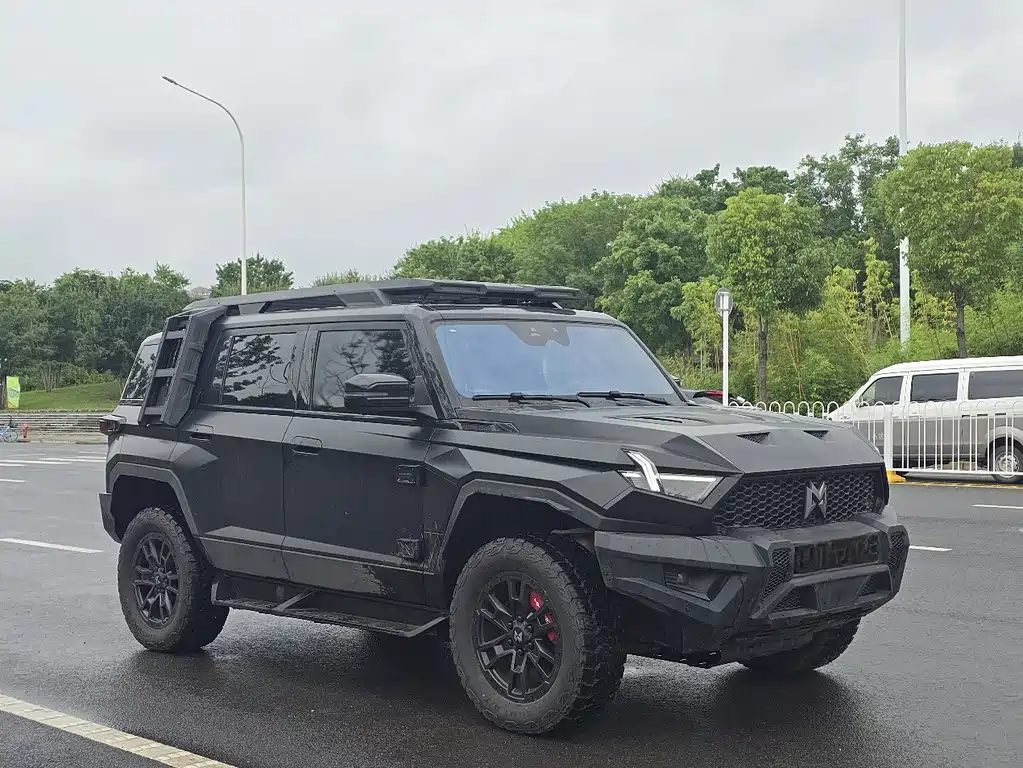 Mengshi Mengshi 917 — миниатюра 3