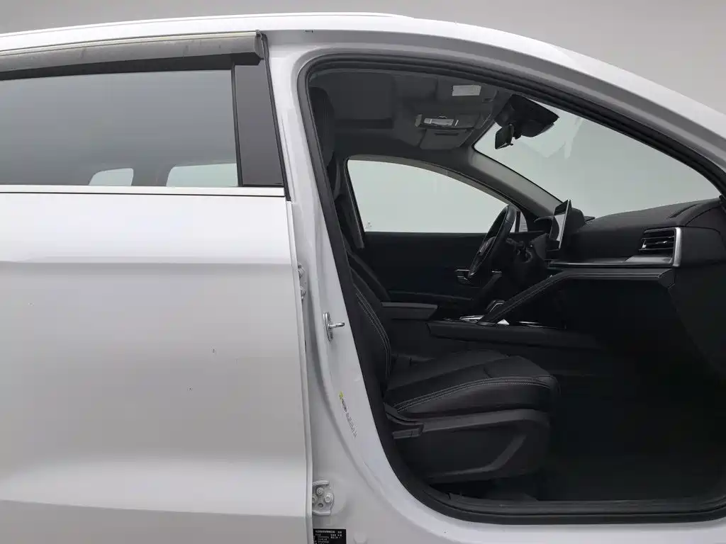 BYD Pro — миниатюра 23