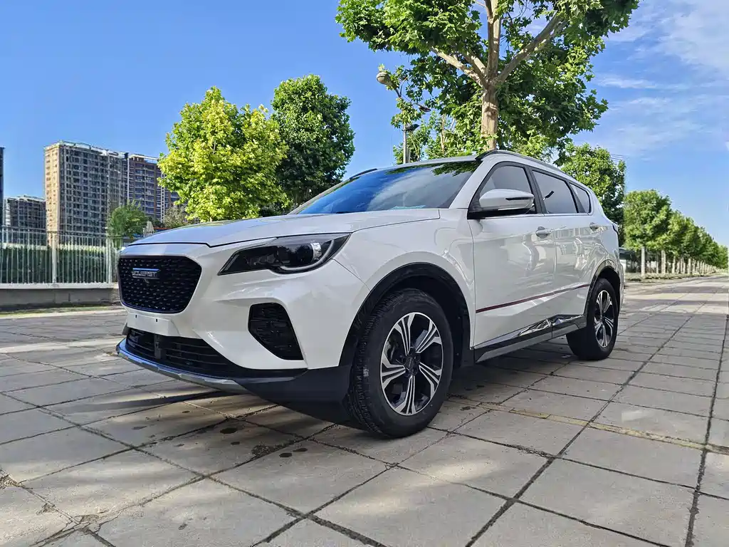 Купить Soueast DX8S