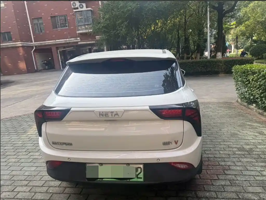 Neta Neta V — миниатюра 8