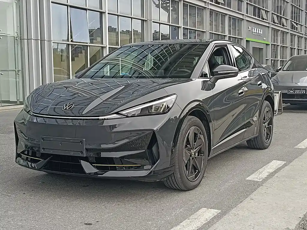 VOLKSWAGEN WITH THE CROWD 06