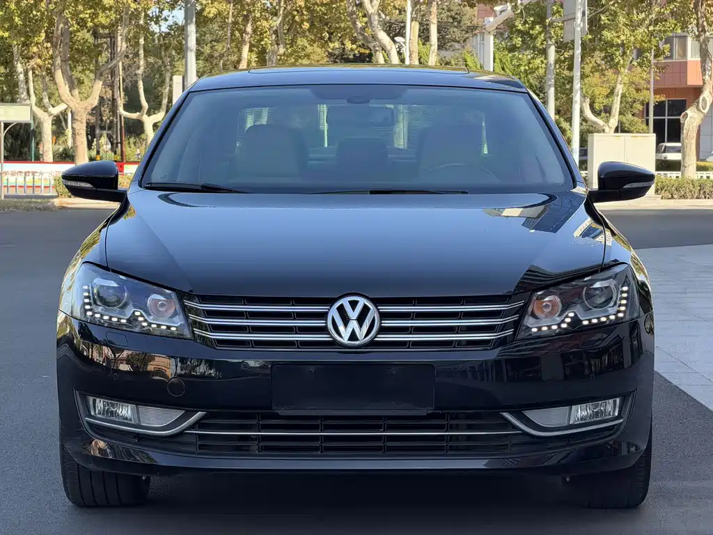 Volkswagen Passat — миниатюра 2
