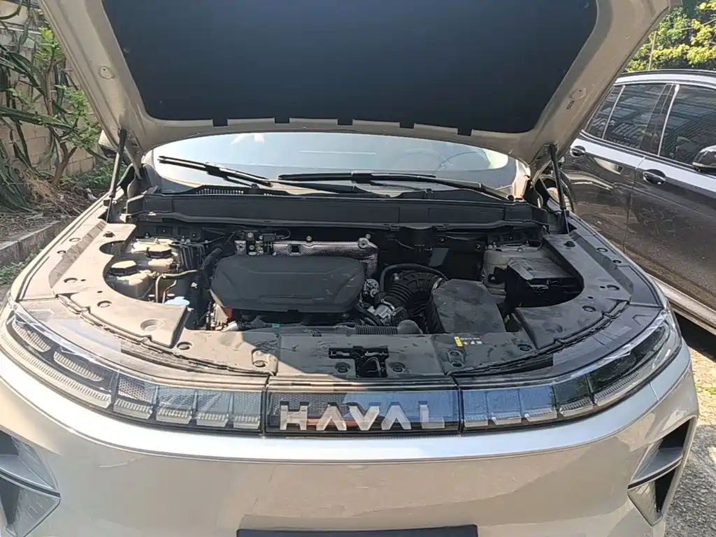 Haval Xiaolong MAX — миниатюра 20