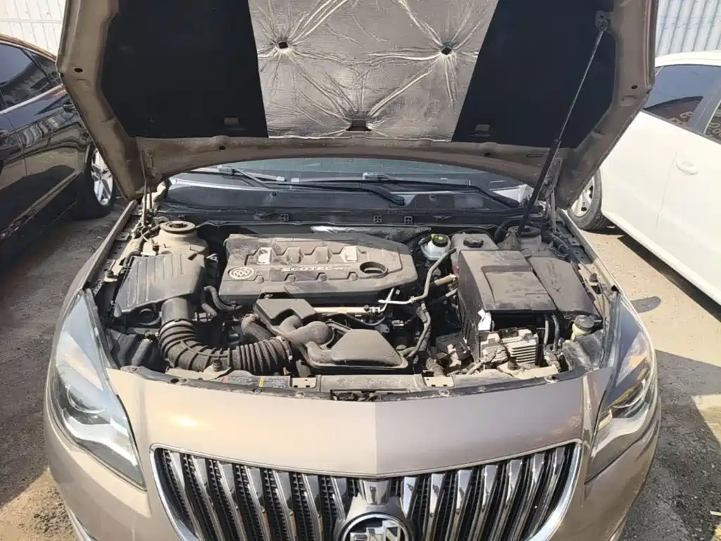 Buick Regal — миниатюра 20