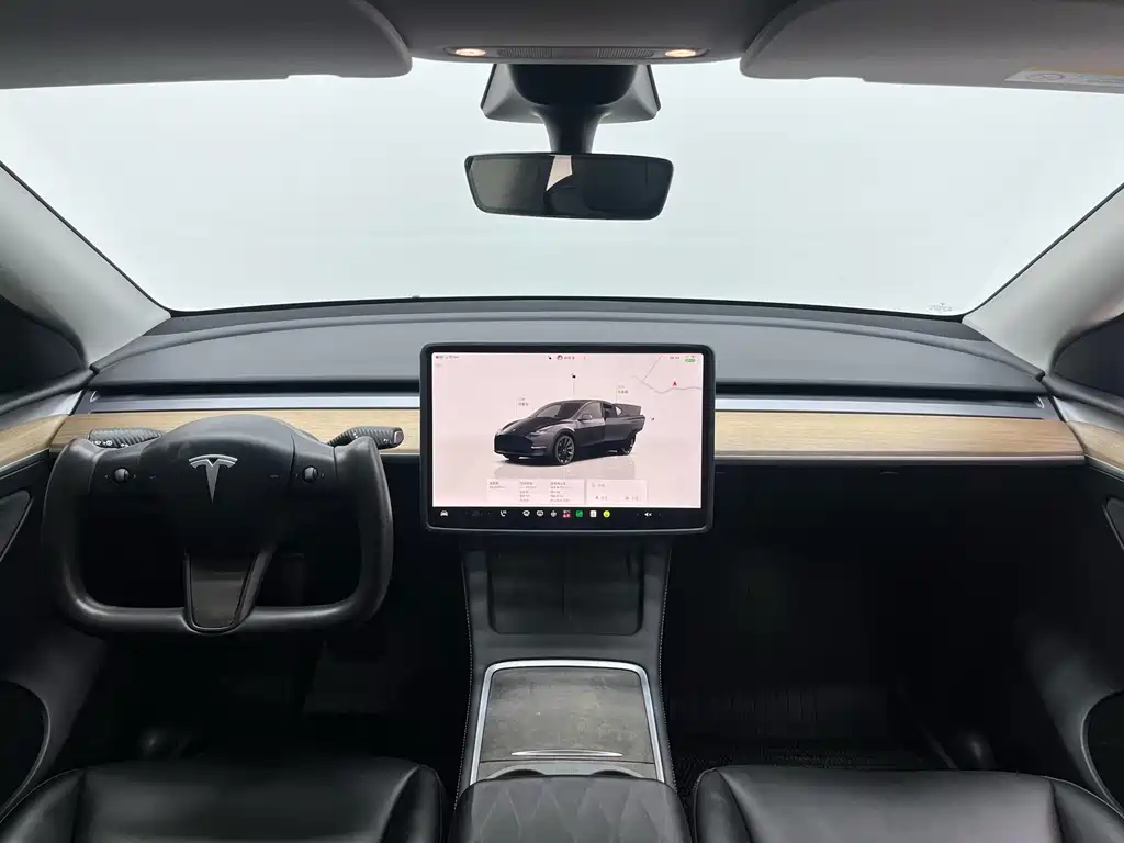 Tesla Model Y — миниатюра 4