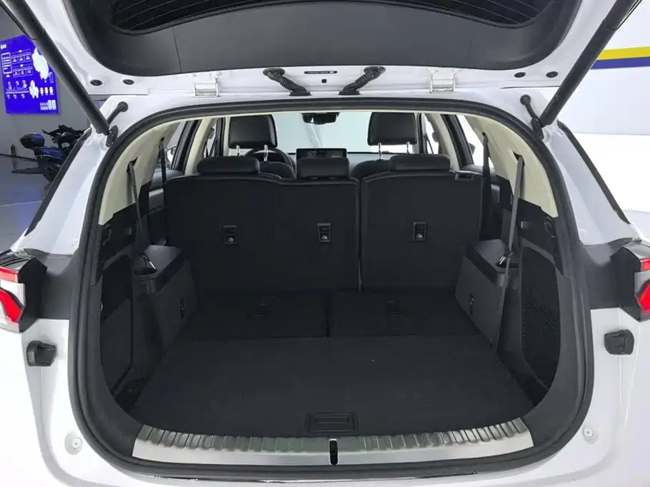 BYD Tang New Energy — миниатюра 4