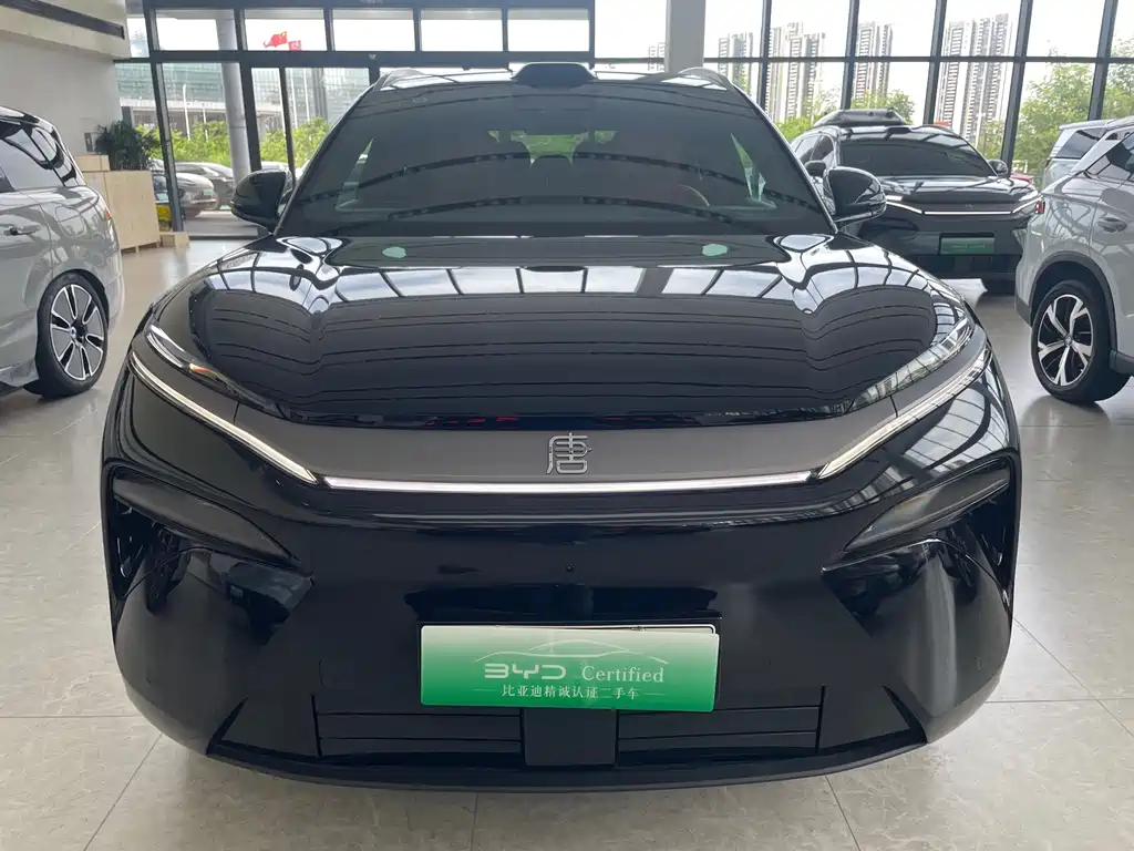 BYD Tang L — миниатюра 2