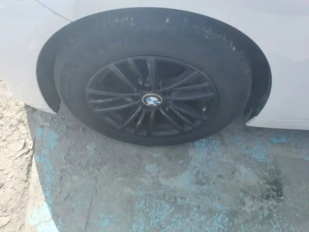 BMW 3 Series — миниатюра 25