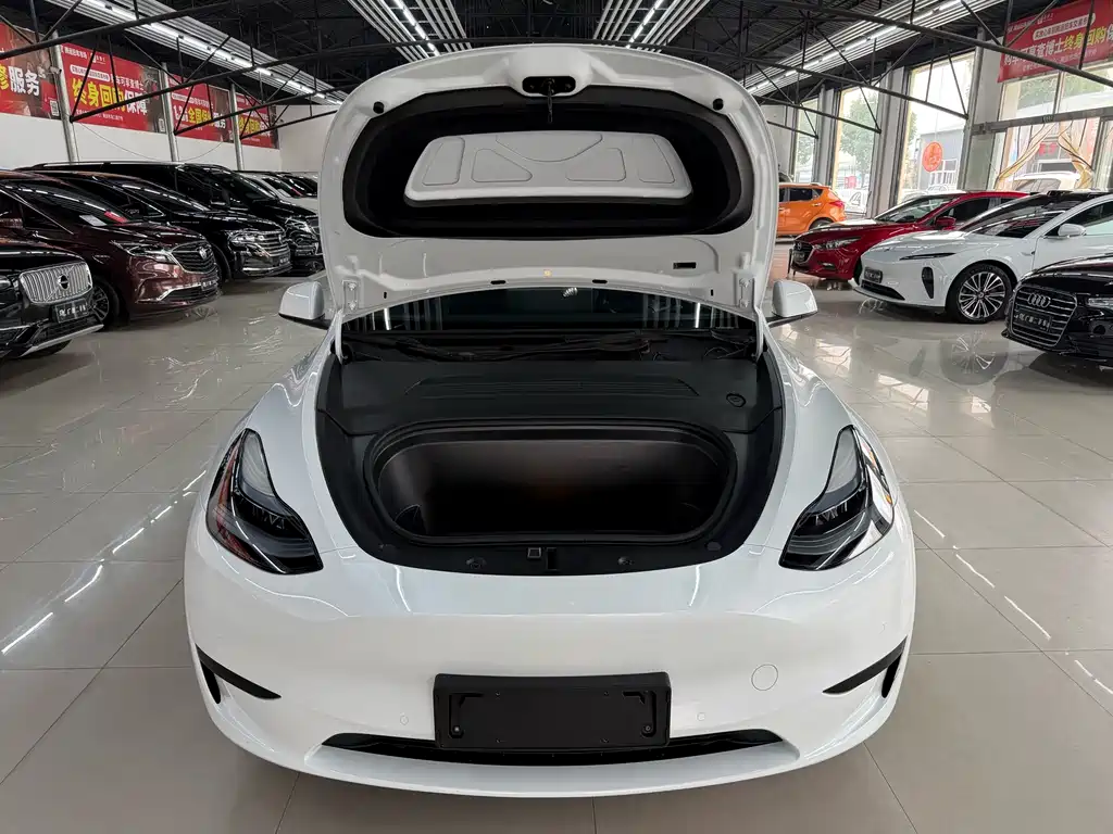 Tesla Model Y — миниатюра 22