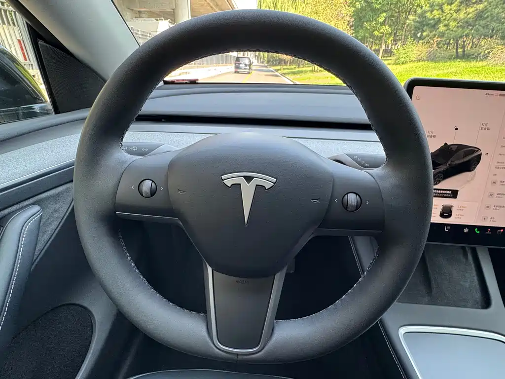 Tesla Model Y — миниатюра 11