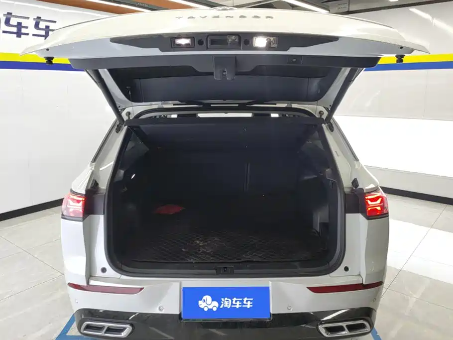Volkswagen Tavendor — миниатюра 4
