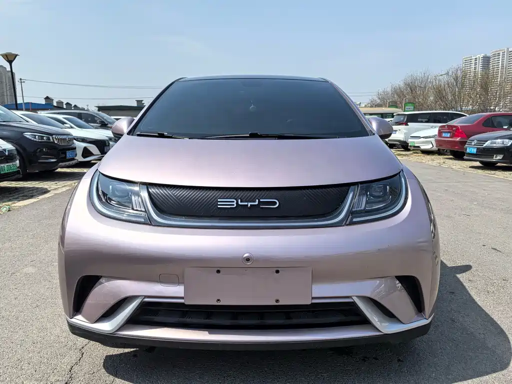 BYD Dolphin — миниатюра 2