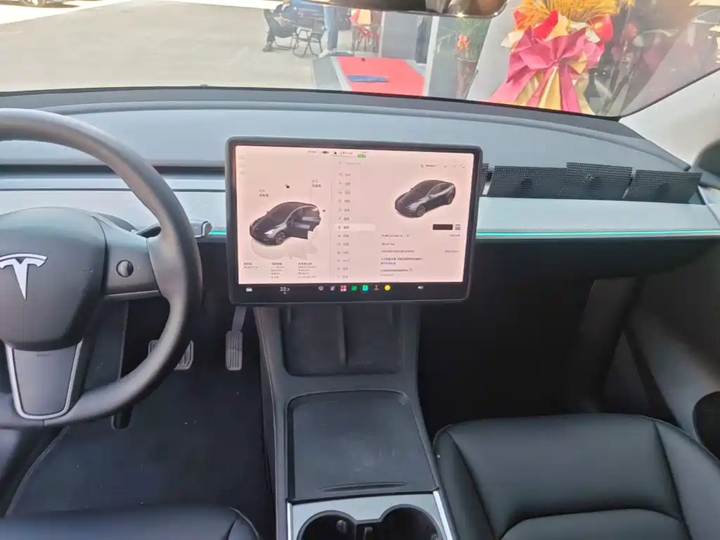 Tesla Model Y — миниатюра 13