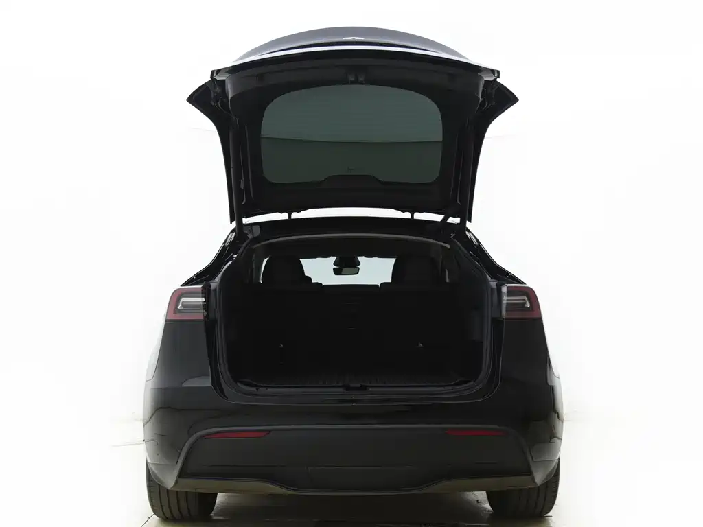 Tesla Model Y — миниатюра 21