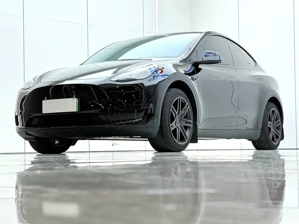 Tesla Model Y — миниатюра 2