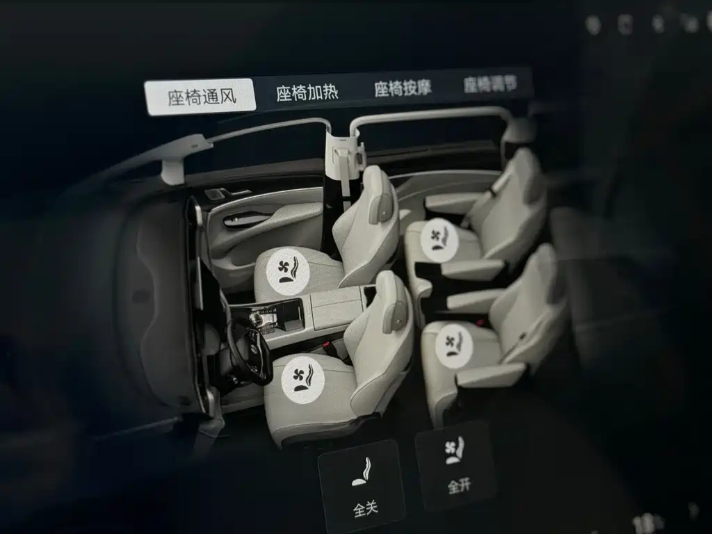Denza Denza D9 — миниатюра 23