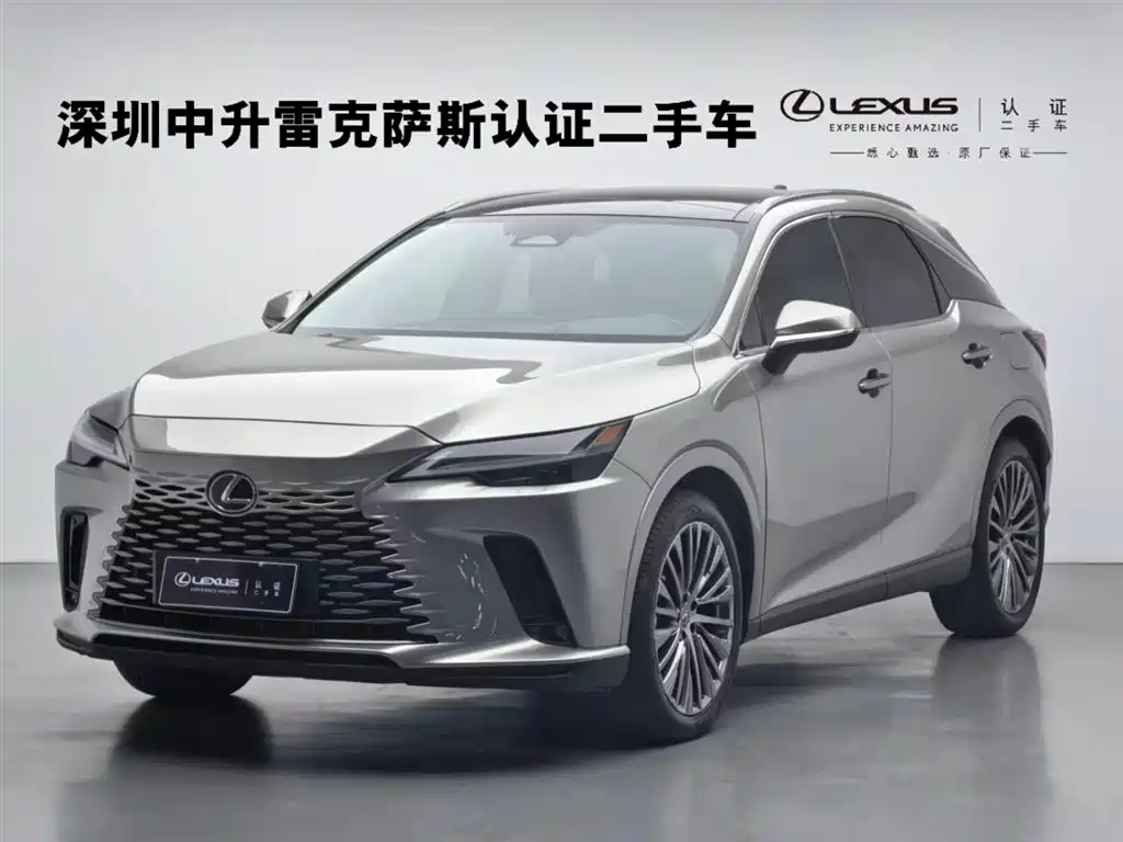 LEXUS RX NEW ENERGY