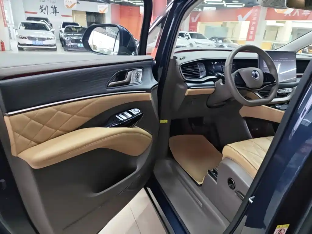 Denza Denza D9 — миниатюра 16