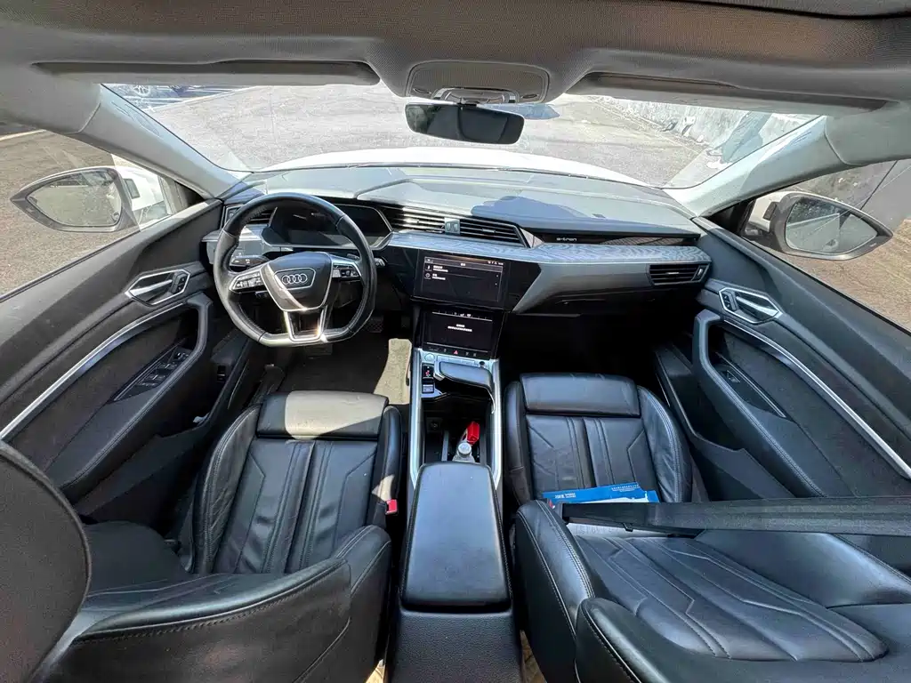 Audi e-tron (Import) — миниатюра 8