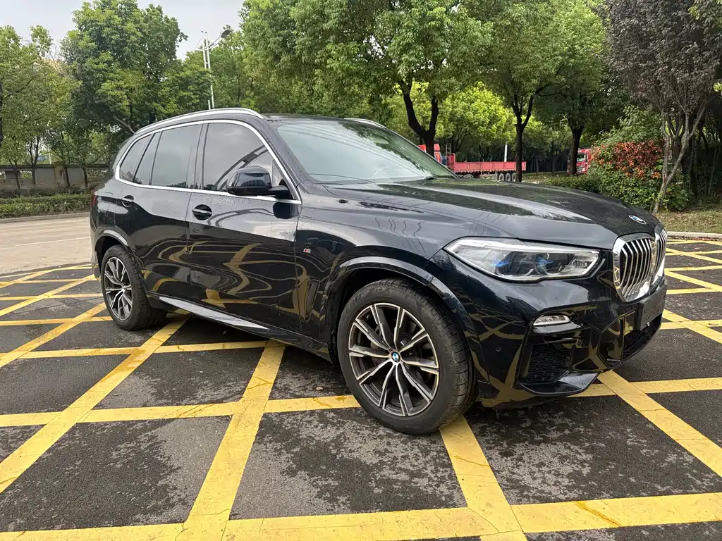 BMW X5 (Import) — миниатюра 3