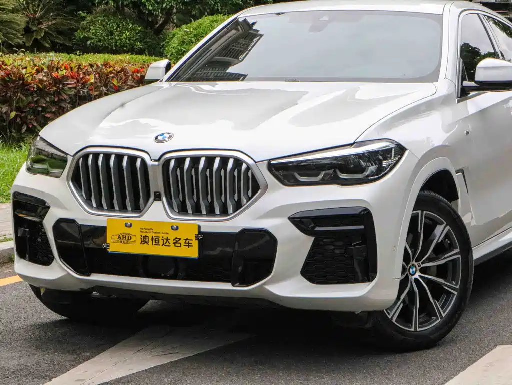 BMW X6 2021 xDrive30i M Sport