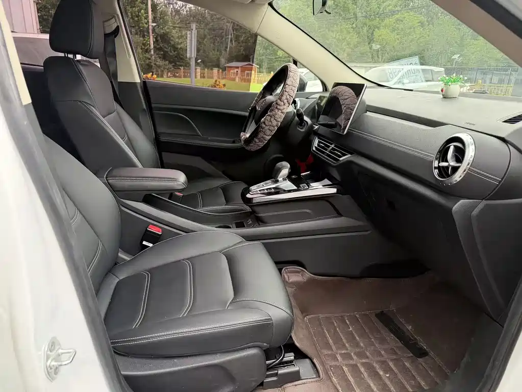 BYD Yuan 2019 EV535
