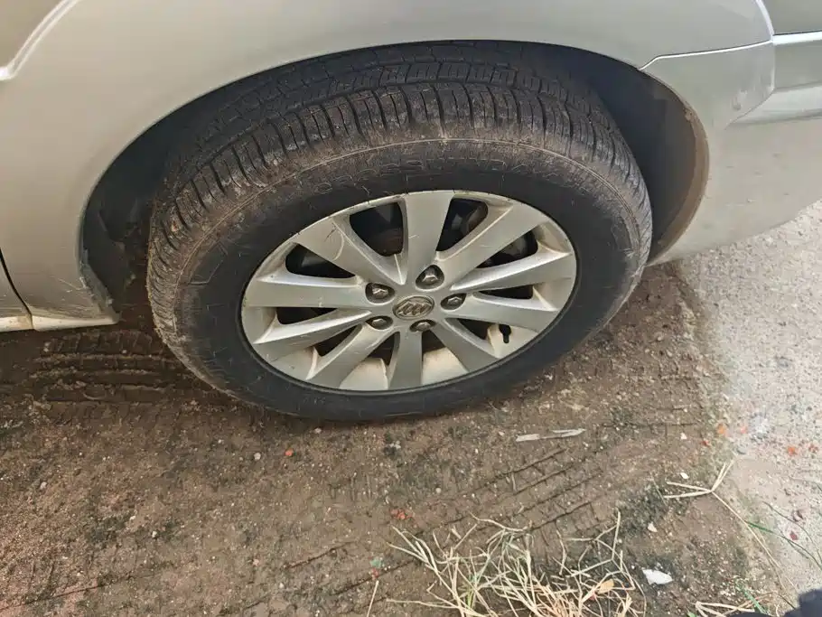 Buick GL8 — миниатюра 6