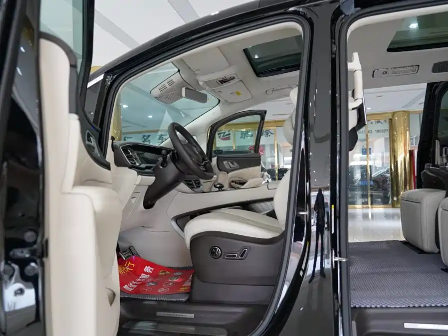 Denza Denza D9 — миниатюра 5