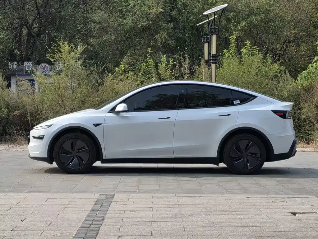 Tesla Model Y — миниатюра 3