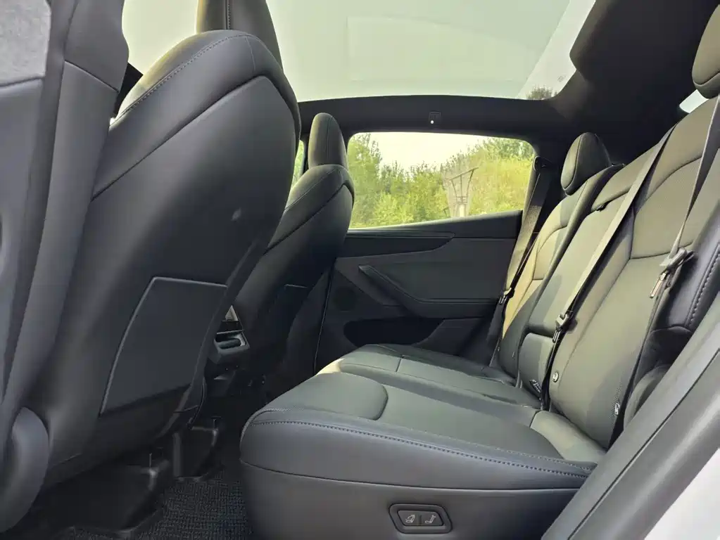 Tesla Model Y — миниатюра 10