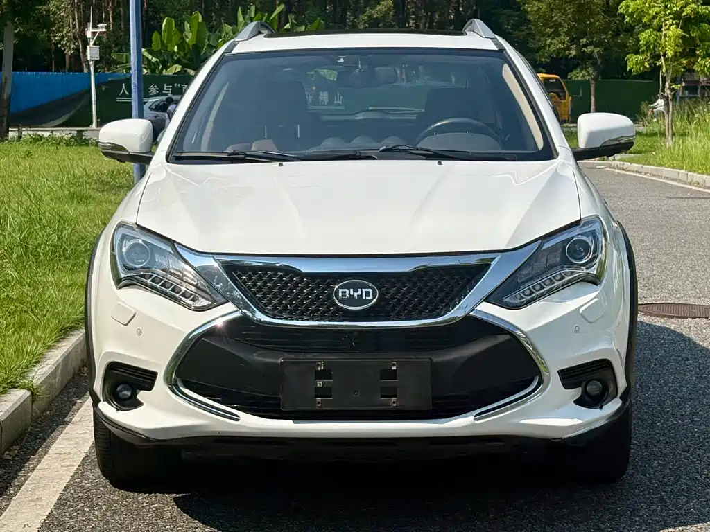 BYD Tang New Energy — миниатюра 2