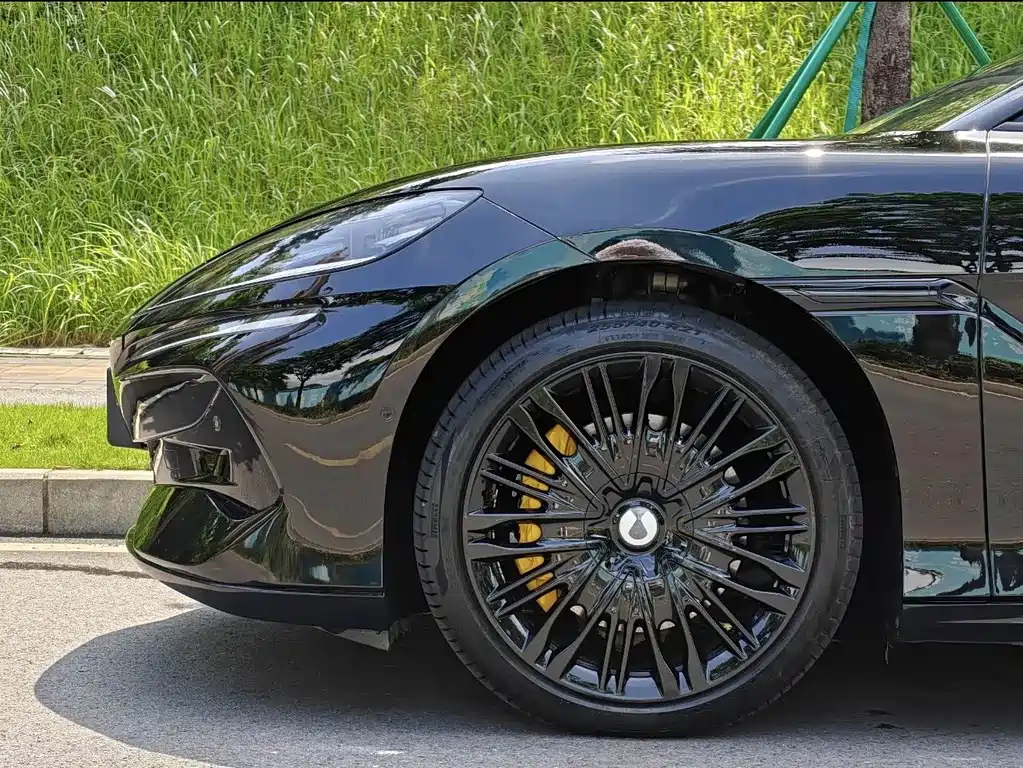 Denza Denza Z9GT — миниатюра 9