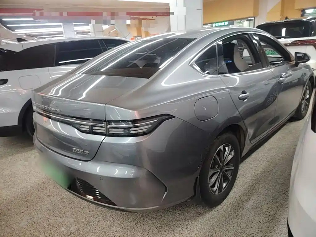 BYD Destroyer 05 2023 Champion DM-i 55KM Luxury