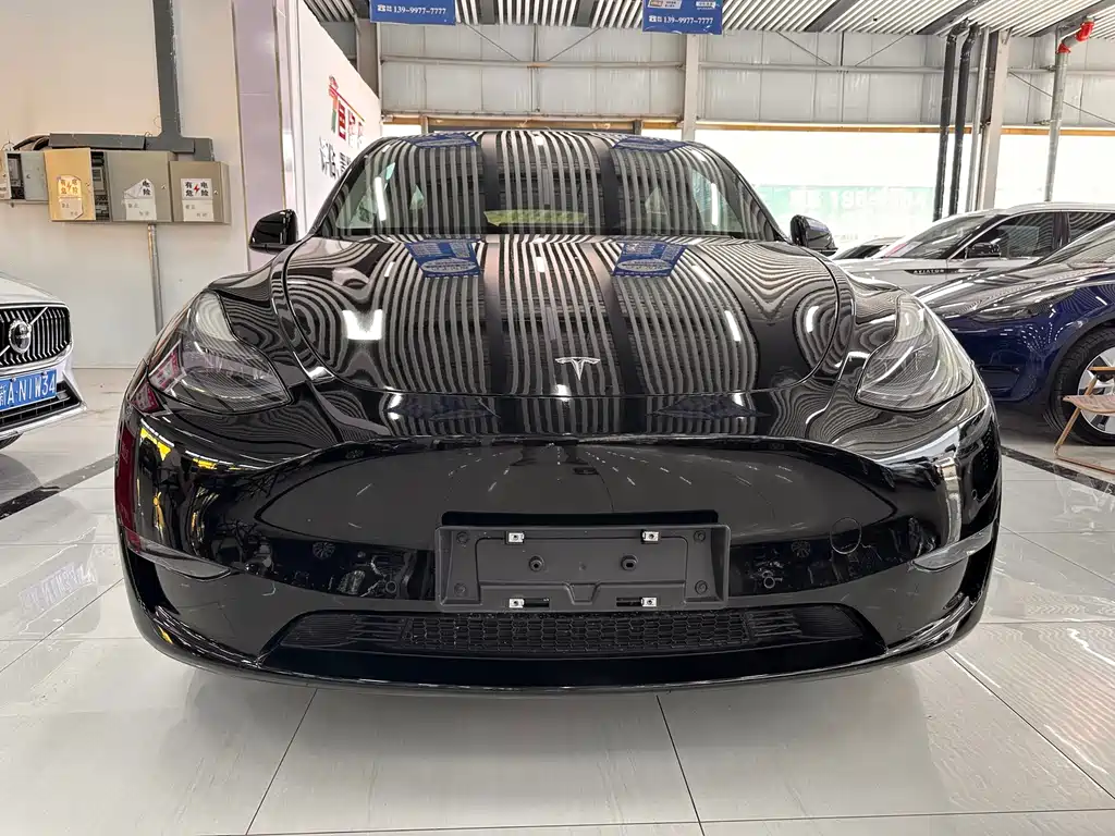 Tesla Model Y — миниатюра 2